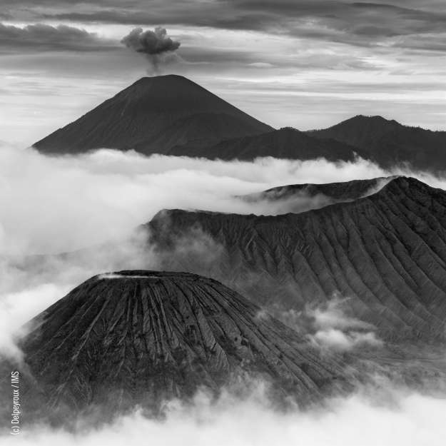 2nd Place - KIKU Photo Award - Stephane Delpeyroux